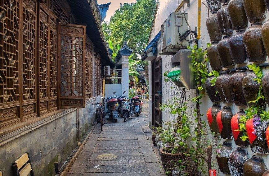 拯救毛茸茸男人