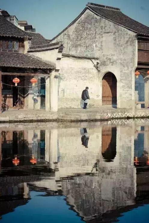 饥饿的松鼠救援